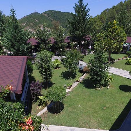 Hotel Elvis Mjull-Bethore Εξωτερικό φωτογραφία