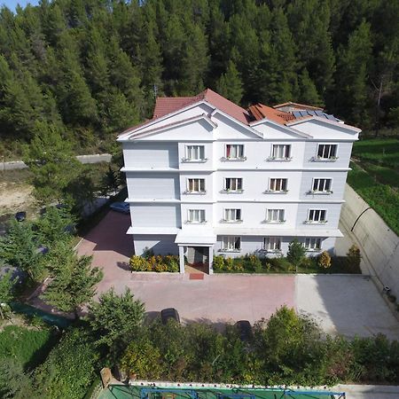 Hotel Elvis Mjull-Bethore Εξωτερικό φωτογραφία